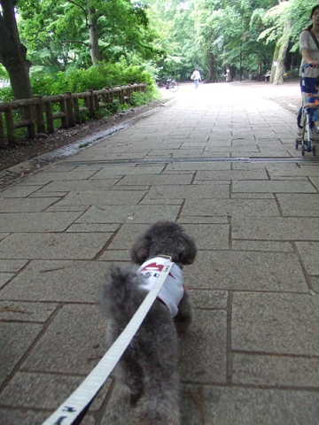 吉祥寺&井の頭公園_e0129656_223409.jpg