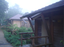 e0125762_1291725.jpg
