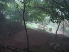 e0125762_1536100.jpg