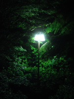 e0125762_245336.jpg