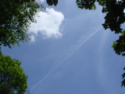 e0125762_2524953.jpg