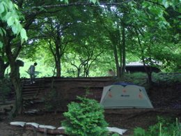 e0125762_271527.jpg