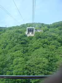 e0125762_3104769.jpg