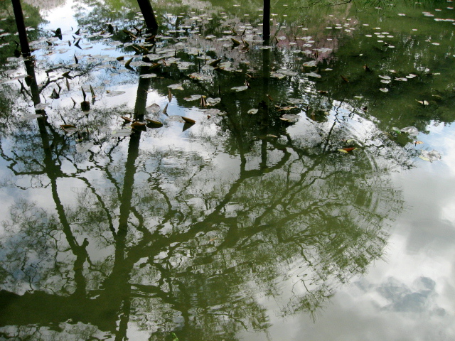 e0139165_117918.jpg