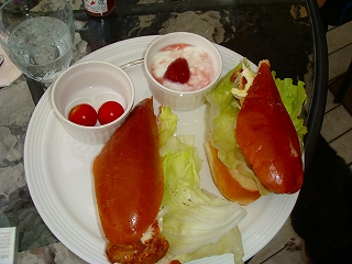 d0101070_16981.jpg