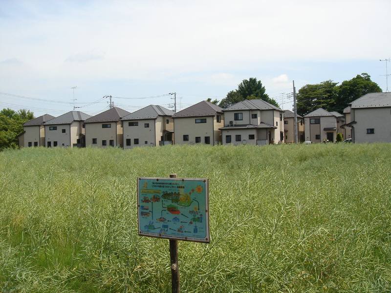 f0059673_21263595.jpg
