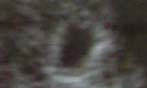 e0067674_1047033.jpg