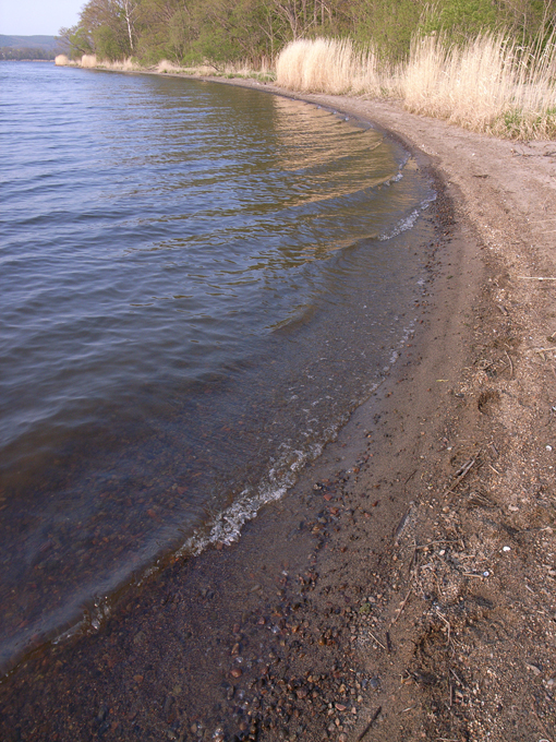 呼人探鳥遊歩道_b0127376_2153769.jpg