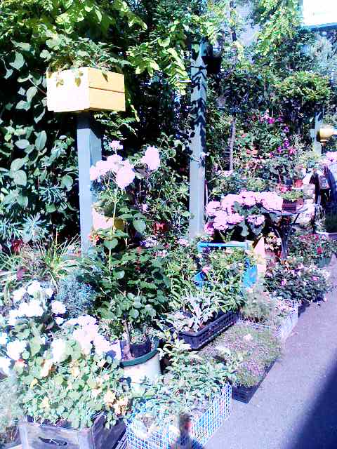 f0016783_064013.jpg