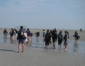 c0013687_2027491.jpg