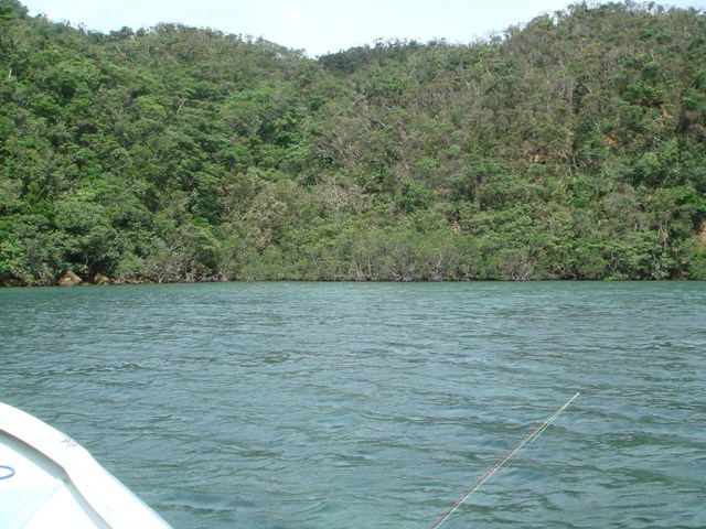 c0139388_2236615.jpg