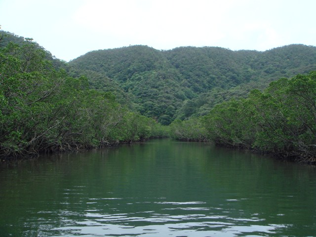 c0139388_23114889.jpg