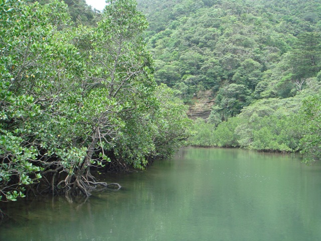 c0139388_23121118.jpg