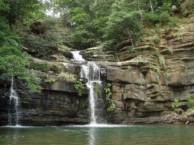 c0139388_2313116.jpg