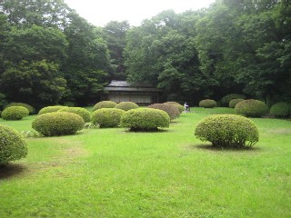 明治神宮御苑_a0091095_1947042.jpg