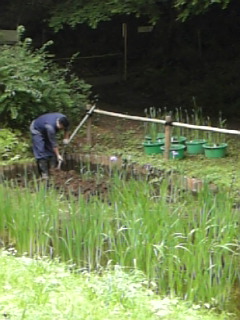 明治神宮御苑_a0091095_2005771.jpg