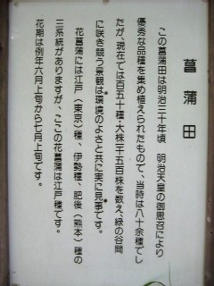 明治神宮御苑_a0091095_2072693.jpg