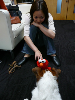 f0146198_17313138.jpg