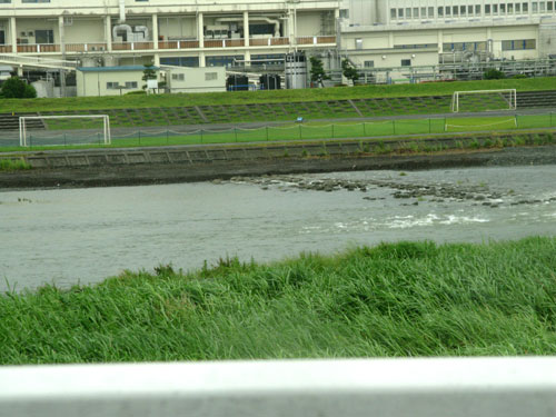 雨の日用コスチューム_c0011204_20353091.jpg