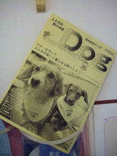 「honohono Dog」2008年６月号（vol.3) _d0110904_11273299.jpg