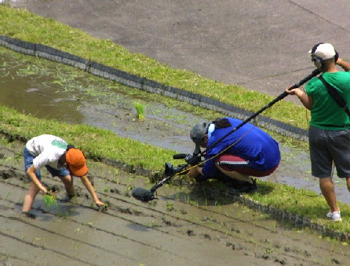 日本にも棚田はあるさ_d0140806_1054311.jpg