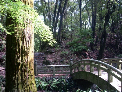 断水と1年生_d0116009_224519.jpg