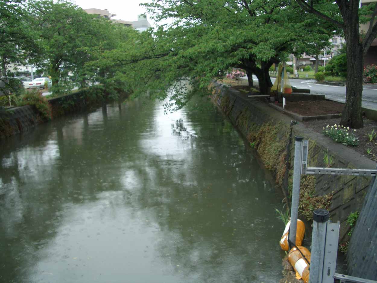 田植えの時期と食糧危機!_f0141310_22541349.jpg