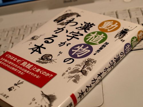 イカはなぜ「烏賊」と書くのか？_c0120913_1114994.jpg