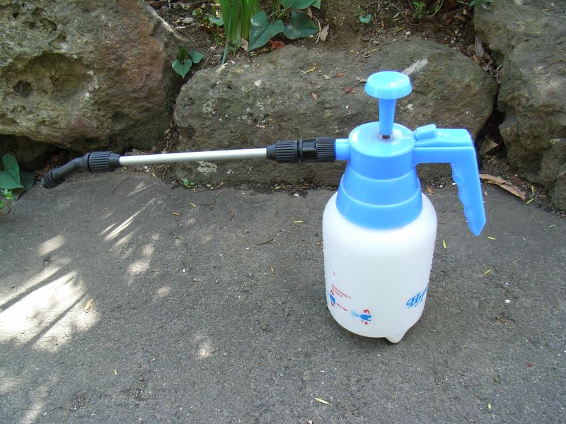 化学兵器を使わない我が家の園芸_c0025115_2142576.jpg