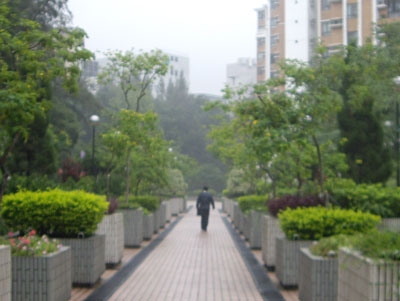 b0026822_1555551.jpg