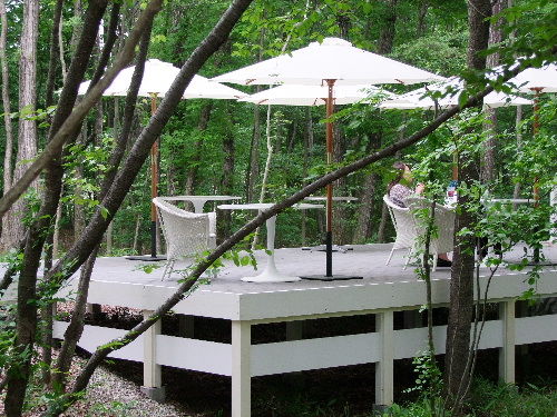 「栃木・那須 草花宿のランチとカフェ・ドミヤンのスコーン」_a0000029_283391.jpg