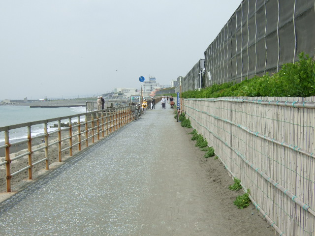 茅ケ崎紹介(茅ケ崎海岸)_b0137932_20111477.jpg