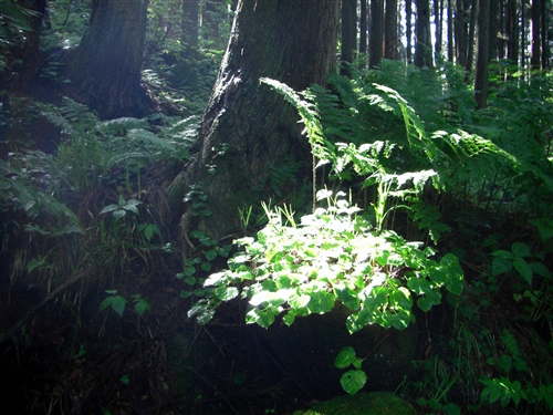 c0081645_22311169.jpg