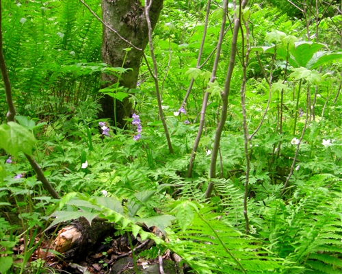 c0081645_2314988.jpg
