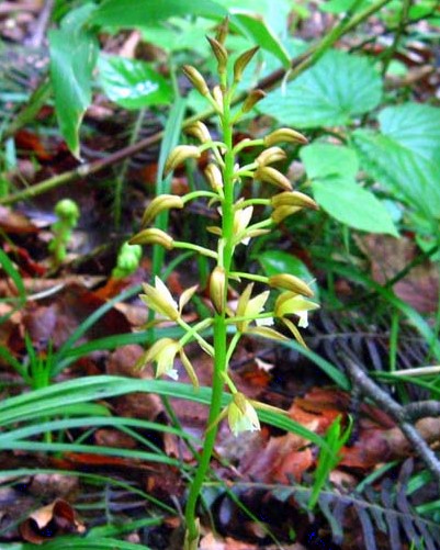 c0081645_23314633.jpg