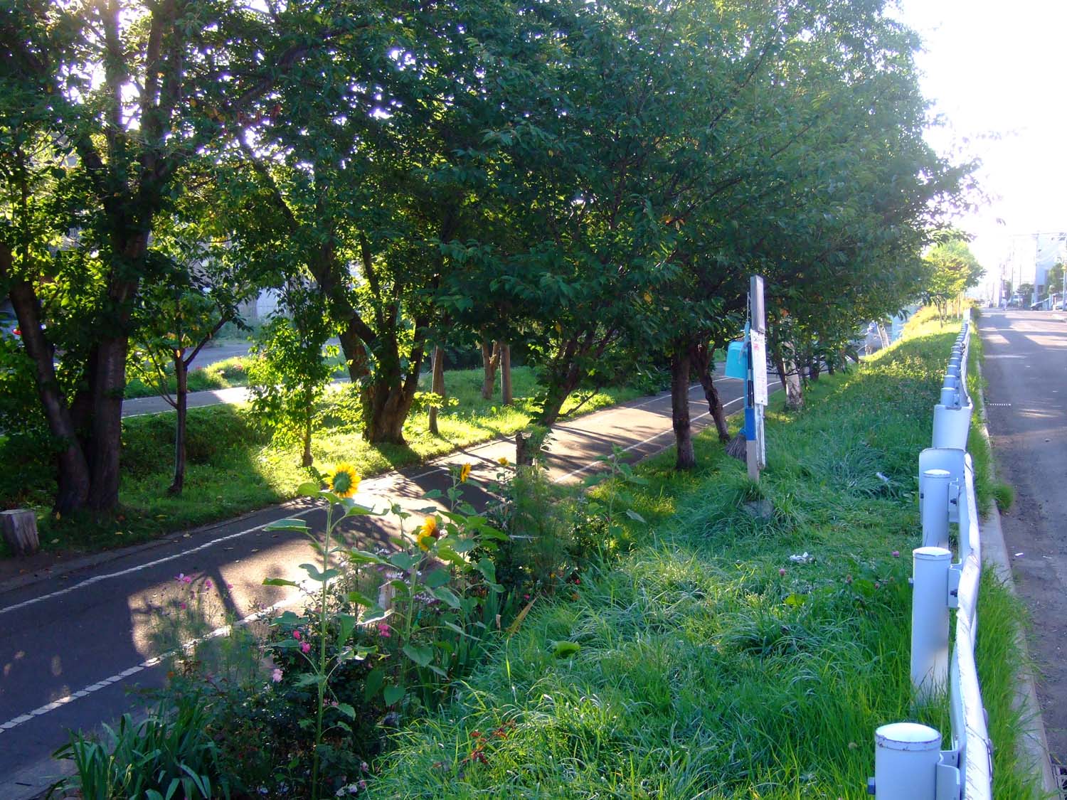 a0082347_2143316.jpg