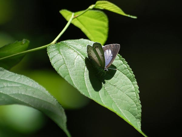 c0045352_17103951.jpg