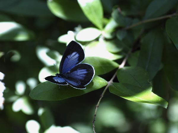 c0045352_17105360.jpg