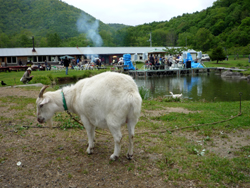 c0007155_1445565.jpg