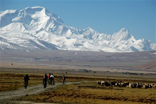 c0047856_1745729.jpg