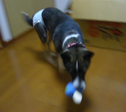 f0087256_20113322.jpg