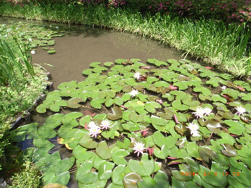 c0050857_0253775.jpg