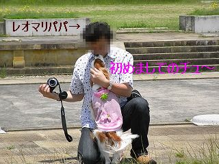 d0113561_10434416.jpg