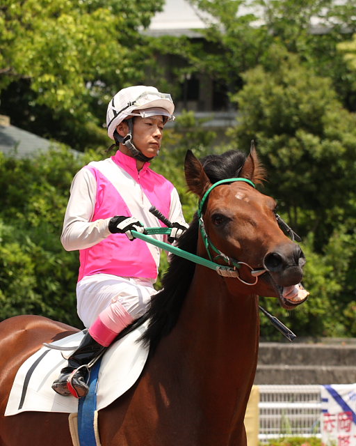 2008年6月1日（日） 高知競馬 2R_a0077663_188464.jpg