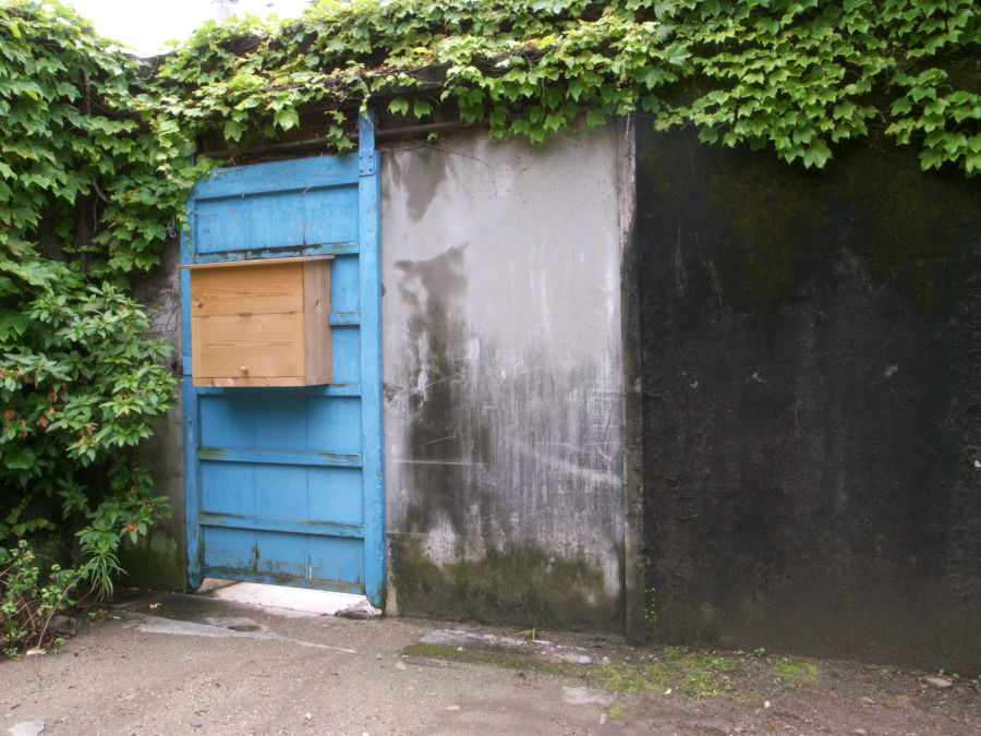 d0108063_20463494.jpg