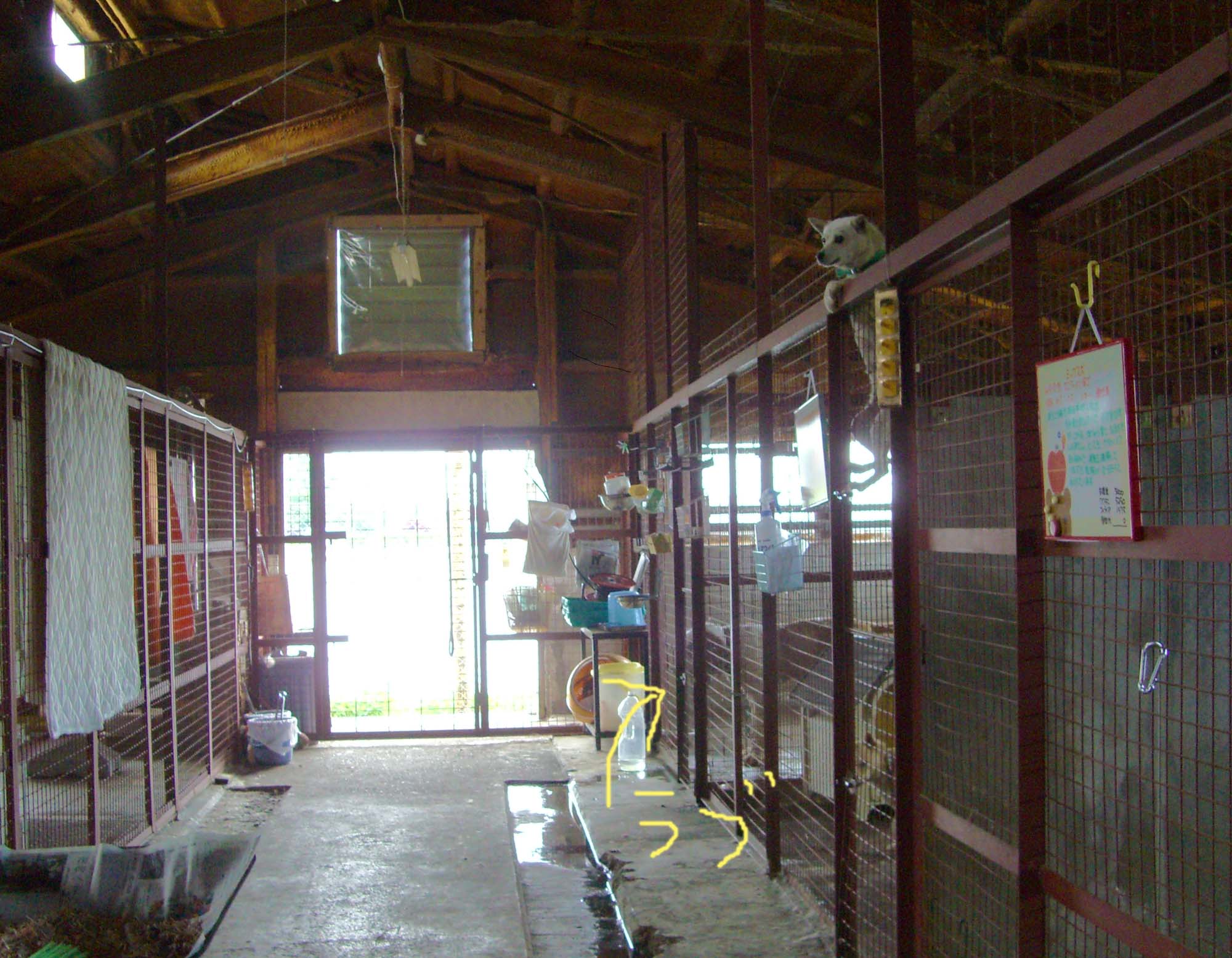 f0114171_13324.jpg