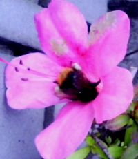b0134673_2175128.jpg