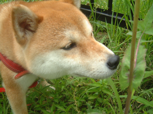 b0140680_0294054.jpg