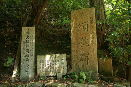 a0045381_22381388.jpg