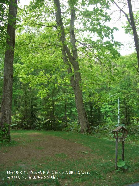 b0000885_13112194.jpg